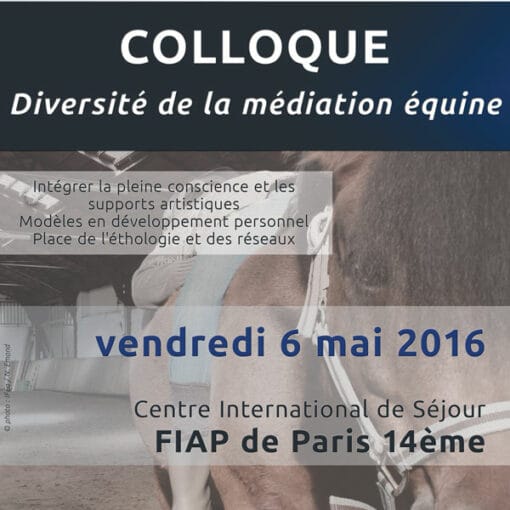 affiche colloque IFEq 2016
